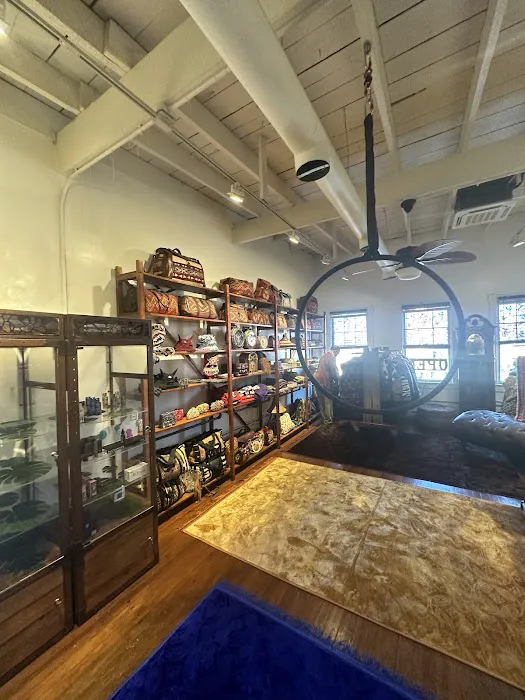 The Omni Collection Picture 4