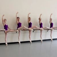 Maryland Youth Ballet ico
