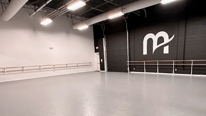 Metropolitan School of the Arts Picture 3