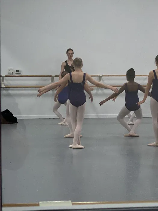 Metropolitan School of the Arts Picture 8