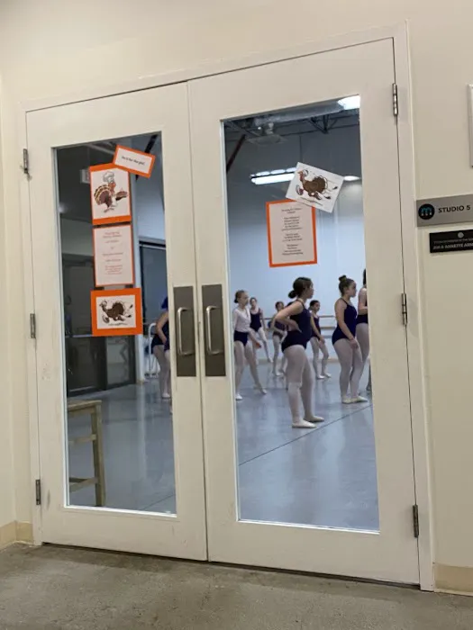 Metropolitan School of the Arts Picture 9