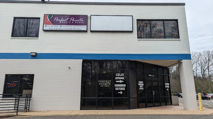Perfect Pointe Music & Dance of Springfield, VA Picture 4