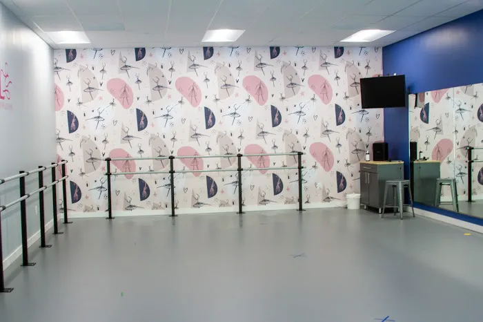 Dance Academy of Loudoun Picture 9