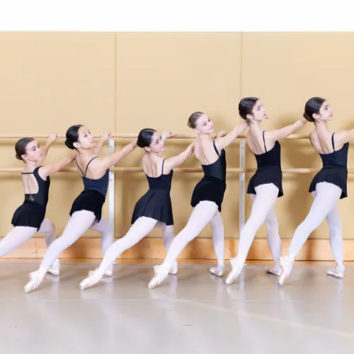 CityDance Conservatory Picture 7