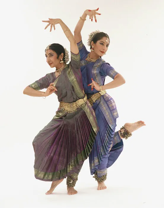 Sutradhar Institute of Dance Picture 5