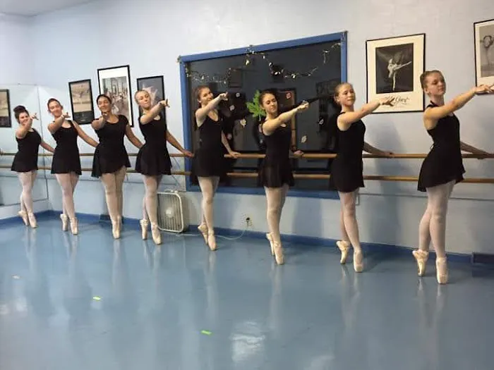 Le Dance Academie Picture 1
