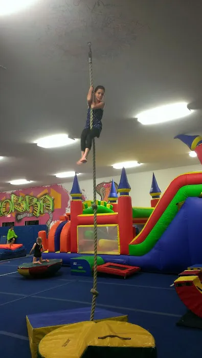 Cobra Gymnastics & Dance Center Picture 1
