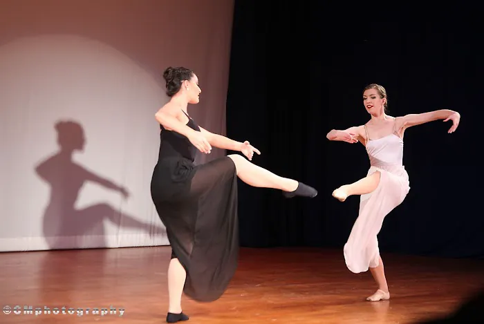 Fox Ballroom Dance Studio Picture 3