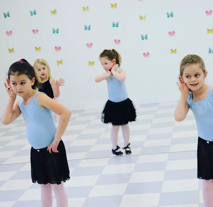 The Cadouxdle Dance Studio Picture 3