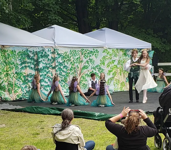 Dimensions In Dance Picture 2
