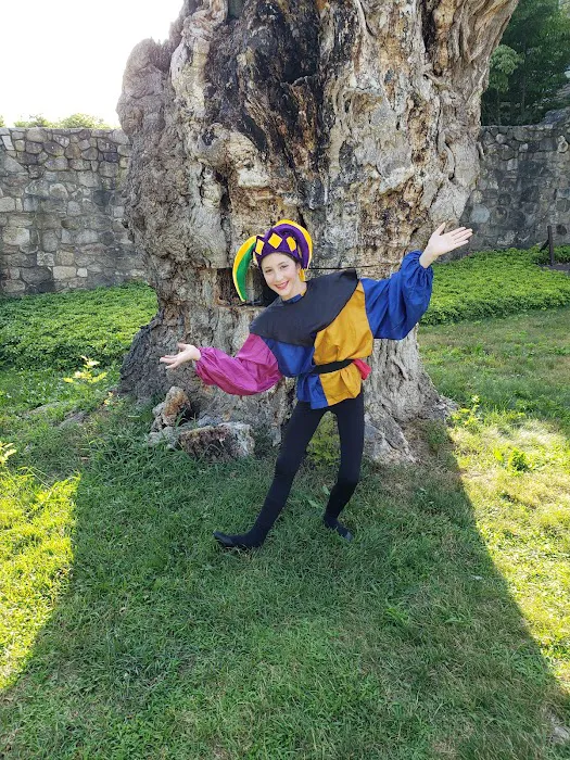 Dimensions In Dance Picture 5