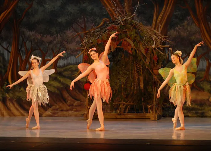 Southern New Hampshire Dance Theater Picture 10