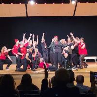 The Performing Arts Connection ico