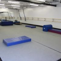 Lisa Pilato Dance Center ico