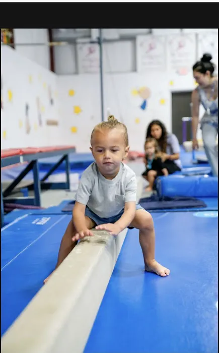Walker's Gymnastics & Dance Picture 4