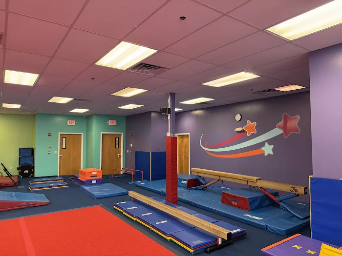 The Little Gym of Littleton Picture 2