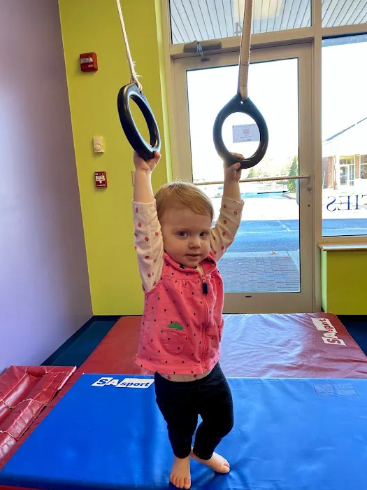 The Little Gym of Littleton Picture 7