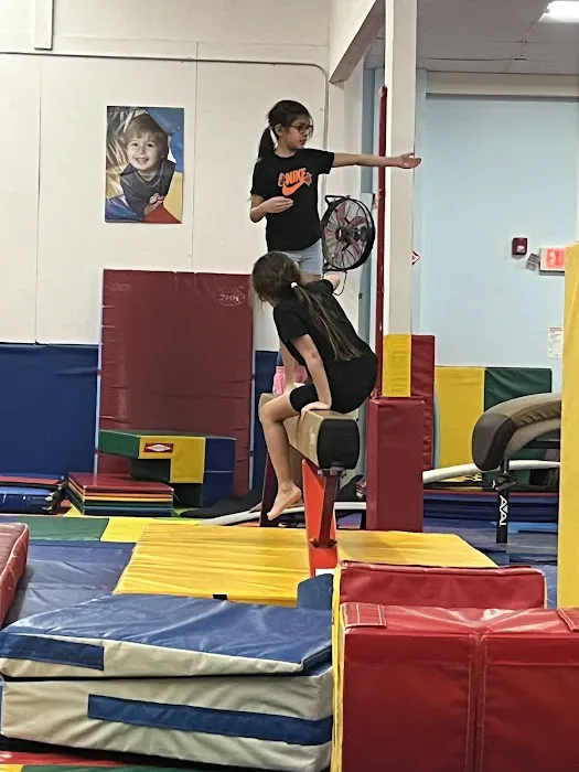 The Little Gym of Littleton Picture 8
