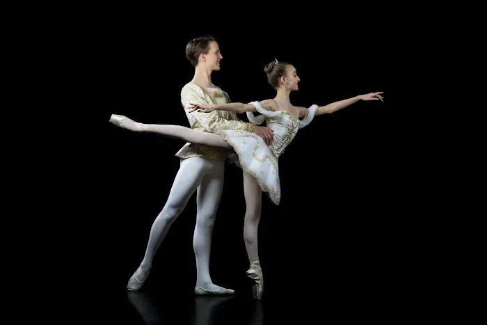 Dancing Arts Center Picture 1