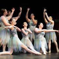 MILLIS DANCE ico