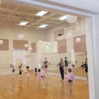 Pointe Premiere School of Dance ico