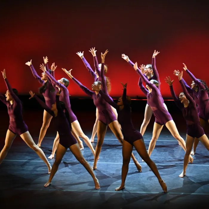 CityDance Picture 3