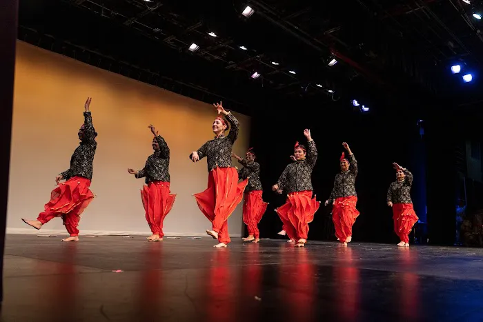 TAAL ACADEMY OF DANCE Picture 1