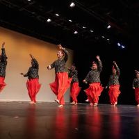 TAAL ACADEMY OF DANCE ico