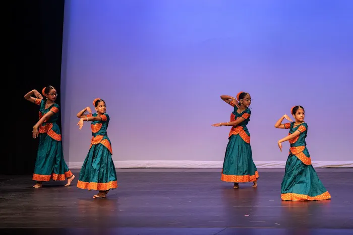 TAAL ACADEMY OF DANCE Picture 3