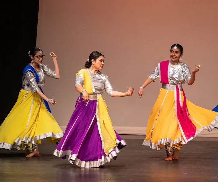 TAAL ACADEMY OF DANCE Picture 7