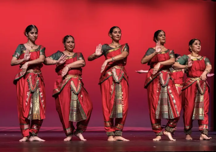 TAAL ACADEMY OF DANCE Picture 8