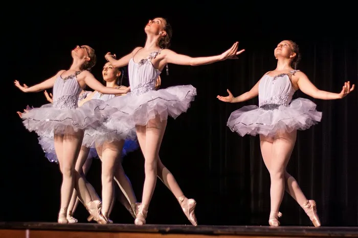 Perfect Pointe Dance Studio Picture 1