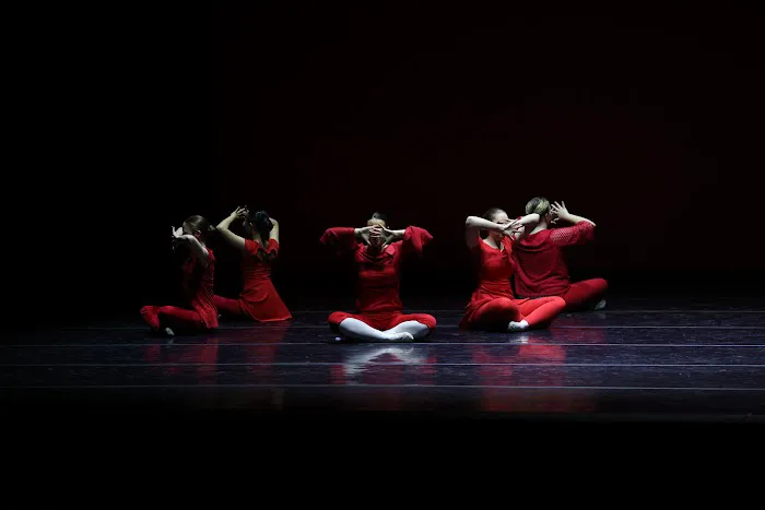 International Dance, LLC. Picture 2