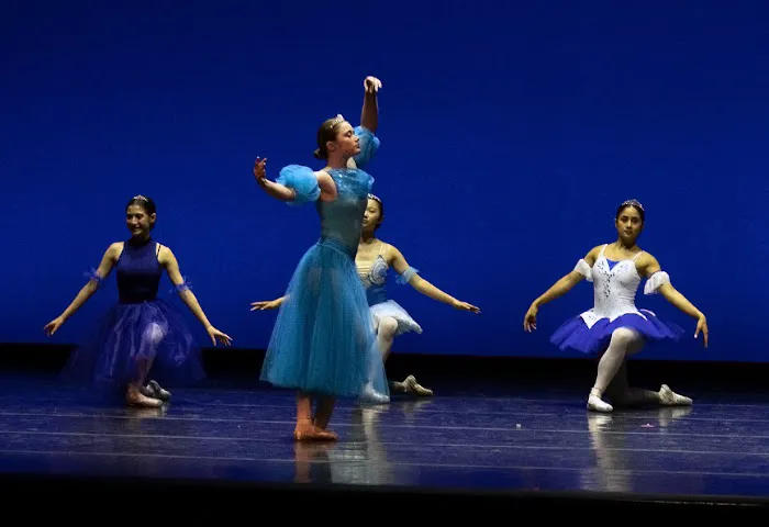 International Dance, LLC. Picture 3