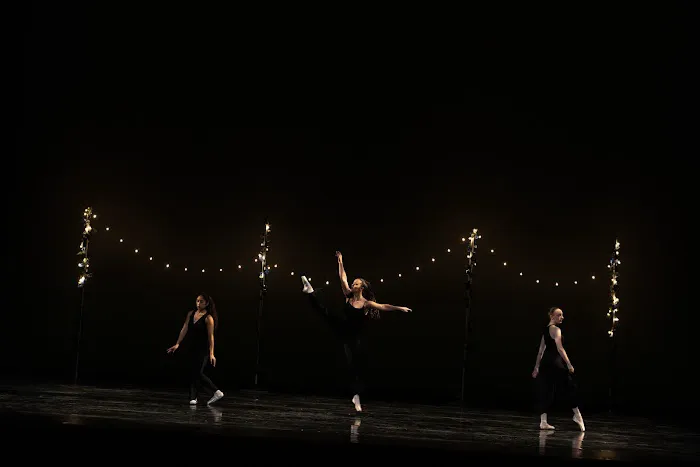 International Dance, LLC. Picture 4