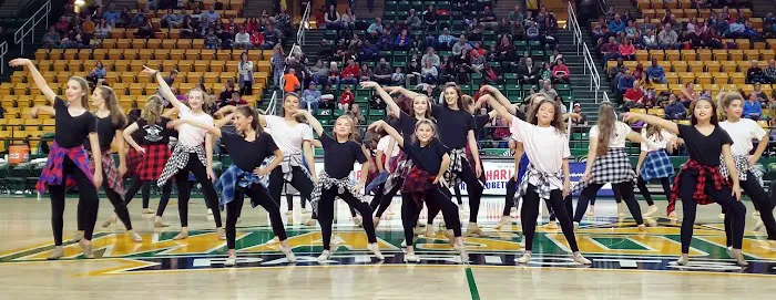 International Dance, LLC. Picture 9