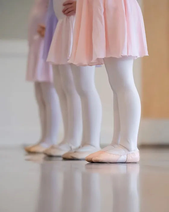 Virginia Dance Conservatory Picture 3
