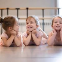 Virginia Dance Conservatory ico