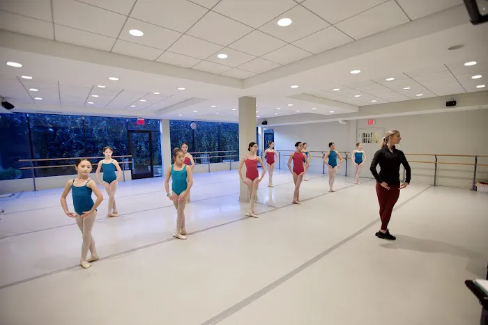 Dance Academy of Virginia Picture 1
