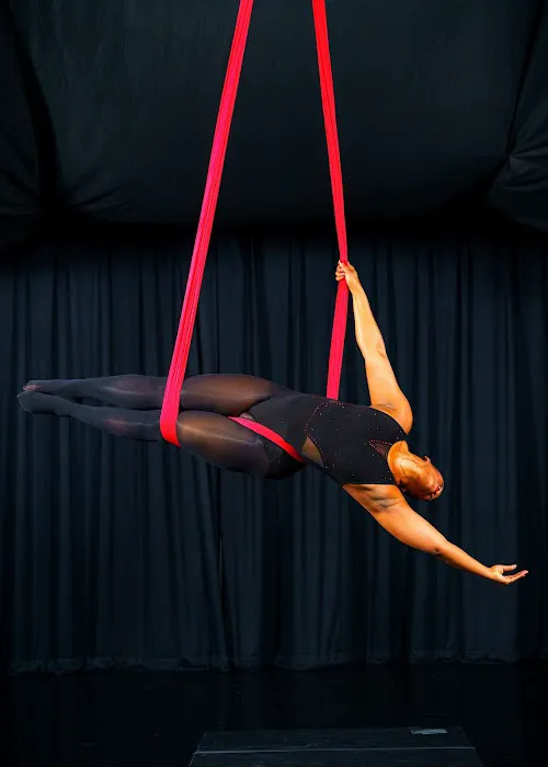 Dynamic Hammock Picture 5