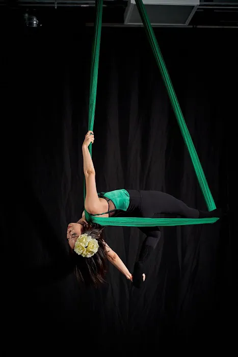 Dynamic Hammock Picture 10
