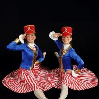 Virginia Ballet Company & School ico
