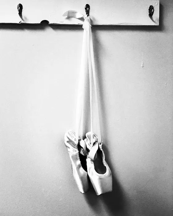 Virginia Ballet Company & School Picture 8