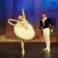 Ave Maria Academy of Ballet ico