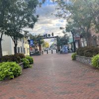 Shenandoah Conservatory Arts Academy ico