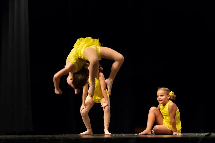 Dreams of Dance Picture 9