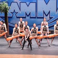 James School Of Dance ico