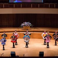 Culkin School of Irish Dance ico