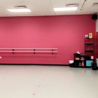 Sandra Lynn's School of Dance ico