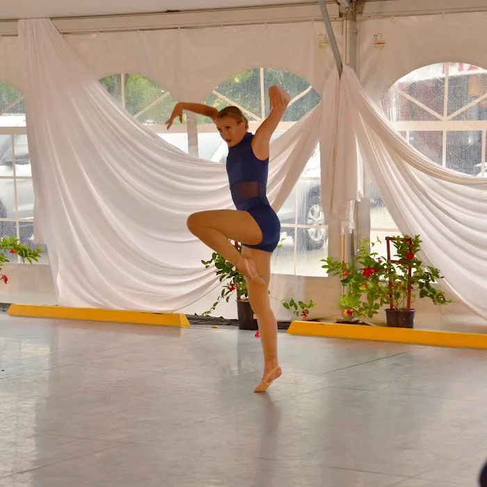 Starlight Dance Academy Picture 6